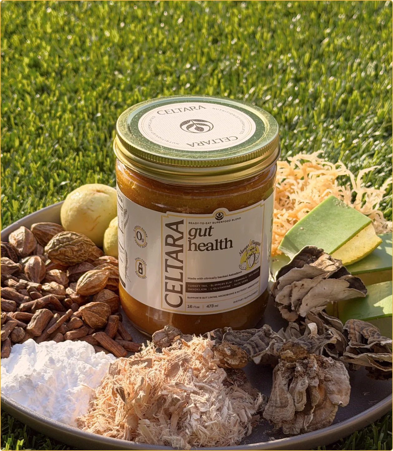 Jar of Celtara mango gut health supplement on a plate with ingredients outdoors.