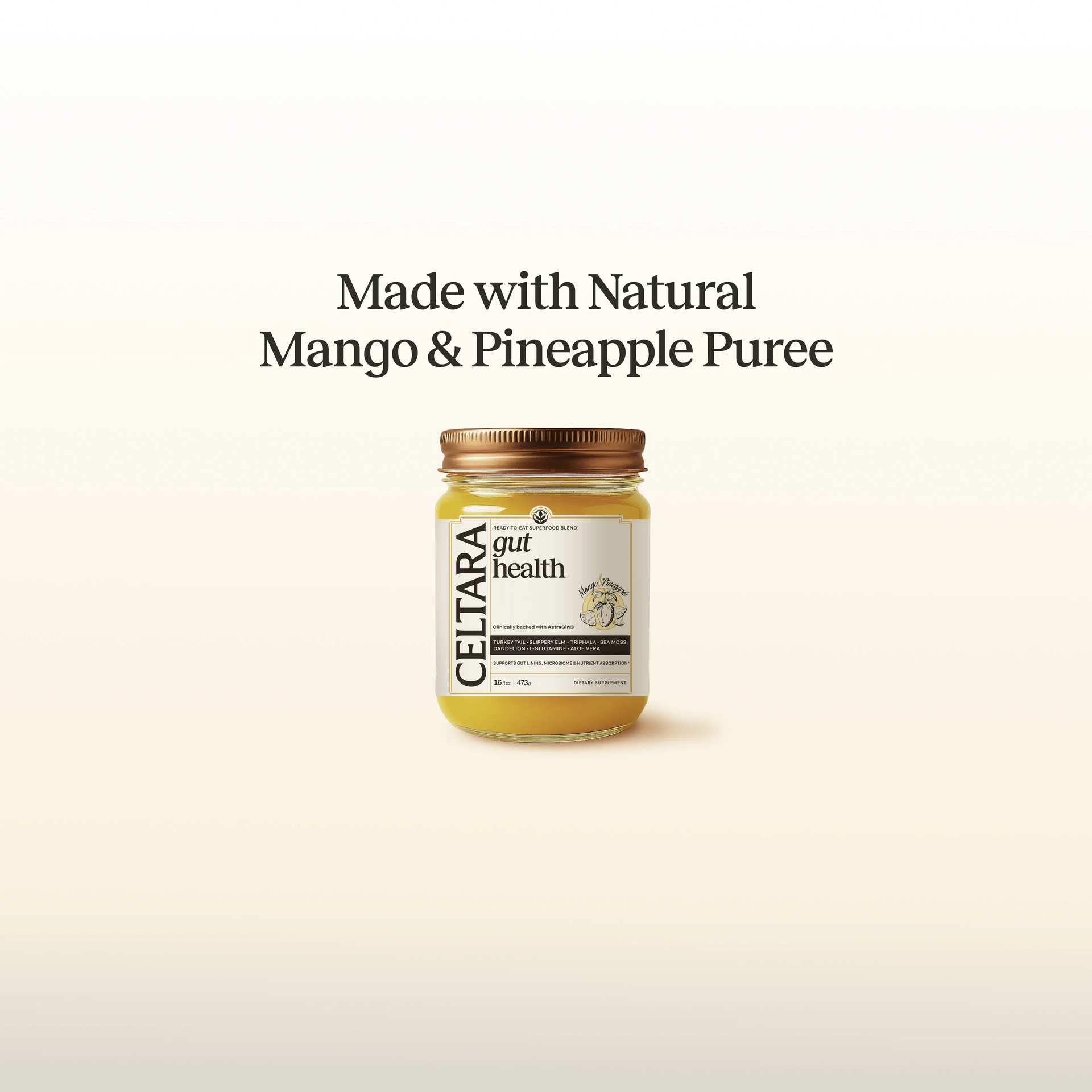 1 Jar