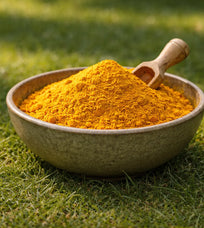 Bowl of LivLonga powder with a wooden scoop on a green grass background.