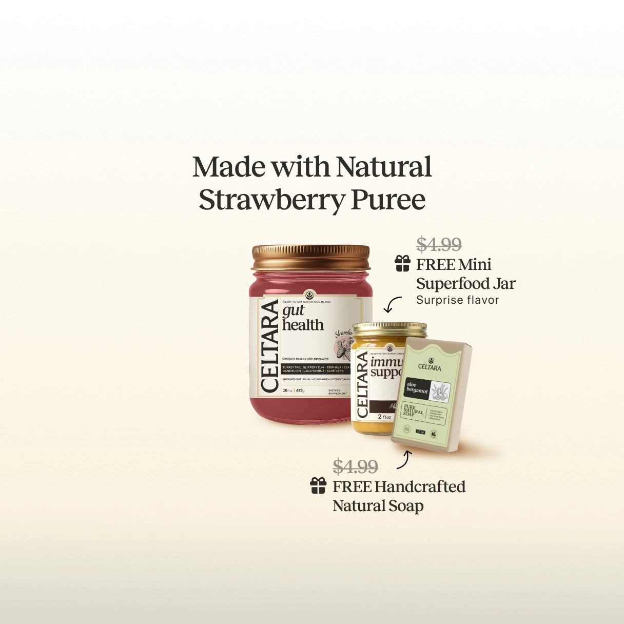 1 Jar