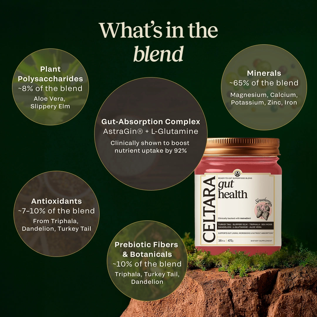CELTARA Gut Health Blend composition breakdown with minerals and botanicals