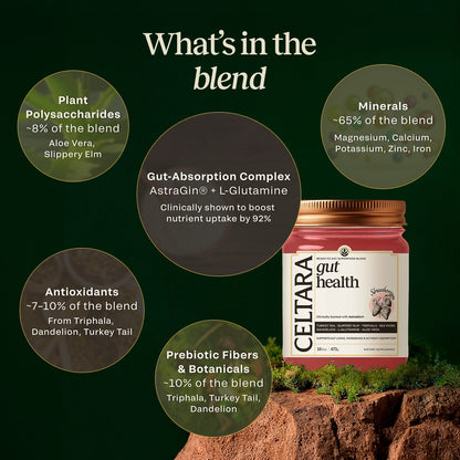 CELTARA Gut Health Blend composition breakdown with minerals and botanicals