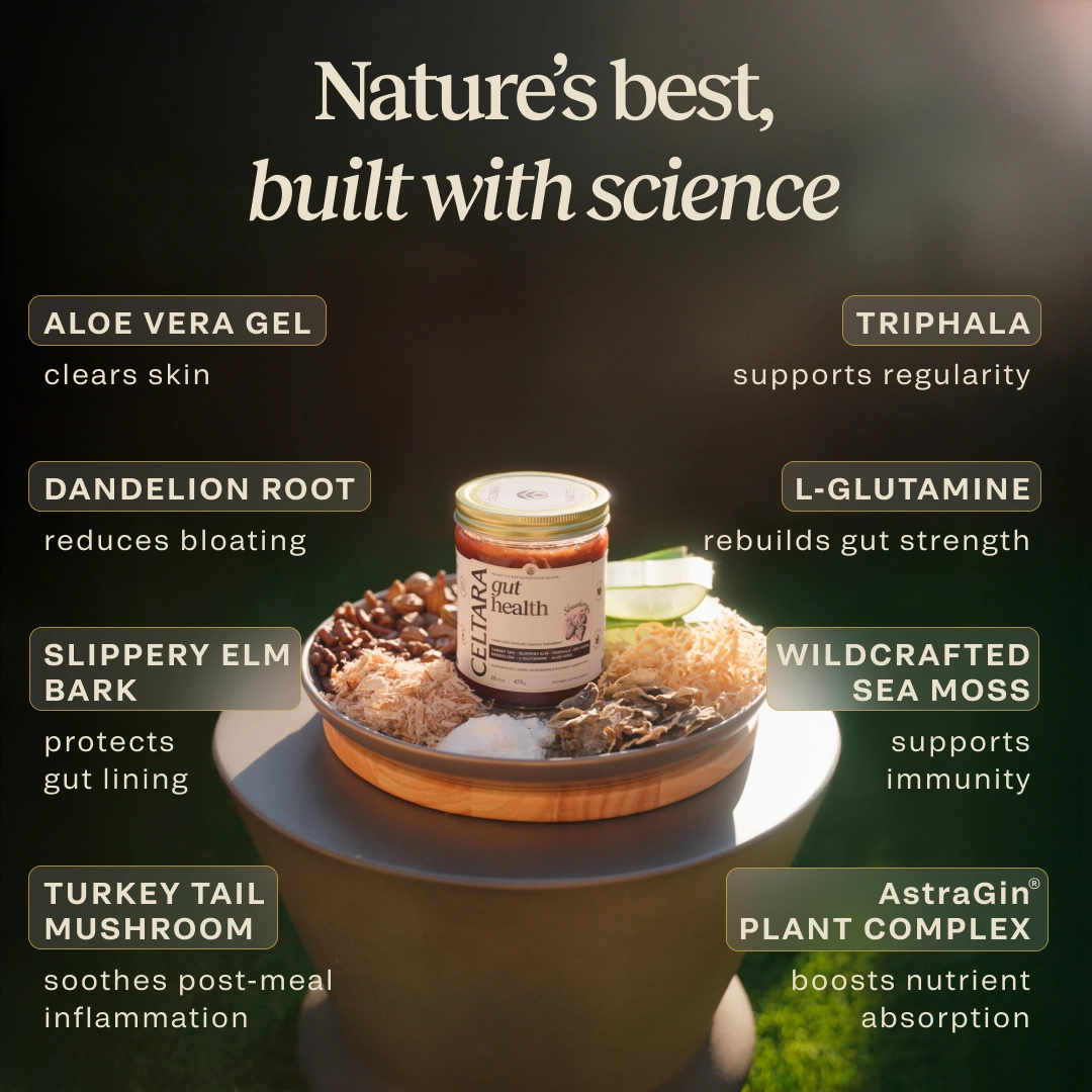 Gut Health Blend ingredients with aloe vera, triphala, slippery elm and sea moss