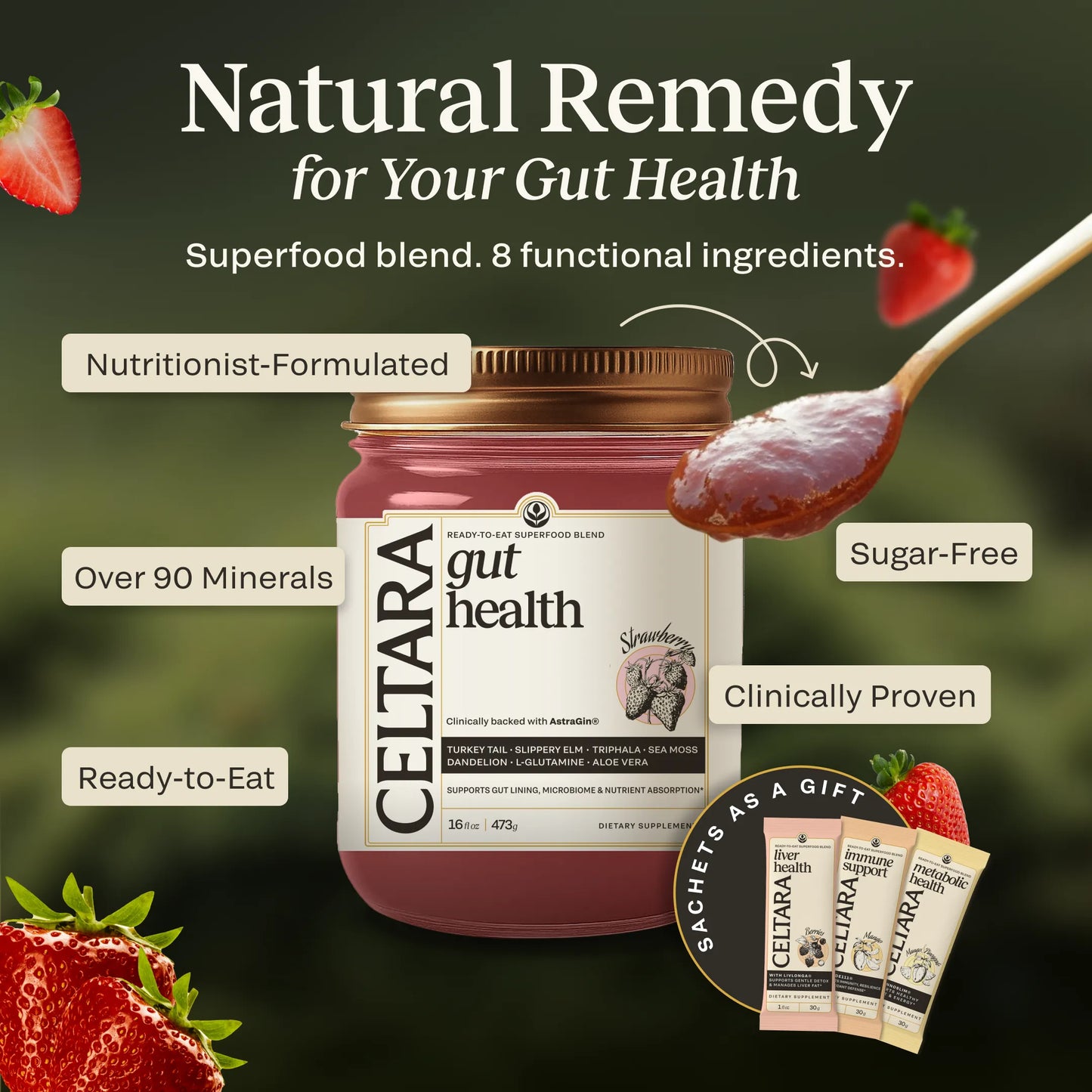 Natural Remedy banner for CELTARA Gut Health Blend with strawberry spoon and sachets