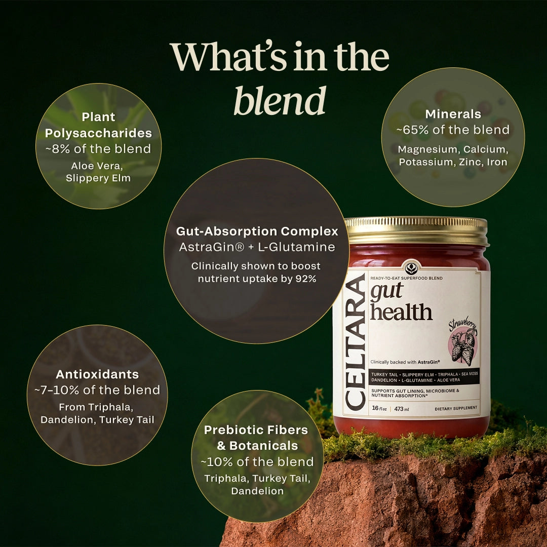CELTARA Gut Health Blend composition breakdown with minerals and botanicals