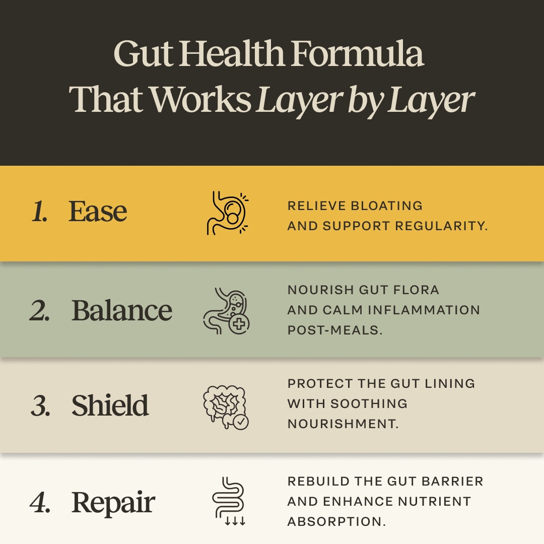 Gut Health Formula graphic showing ease, balance, shield and repair benefits