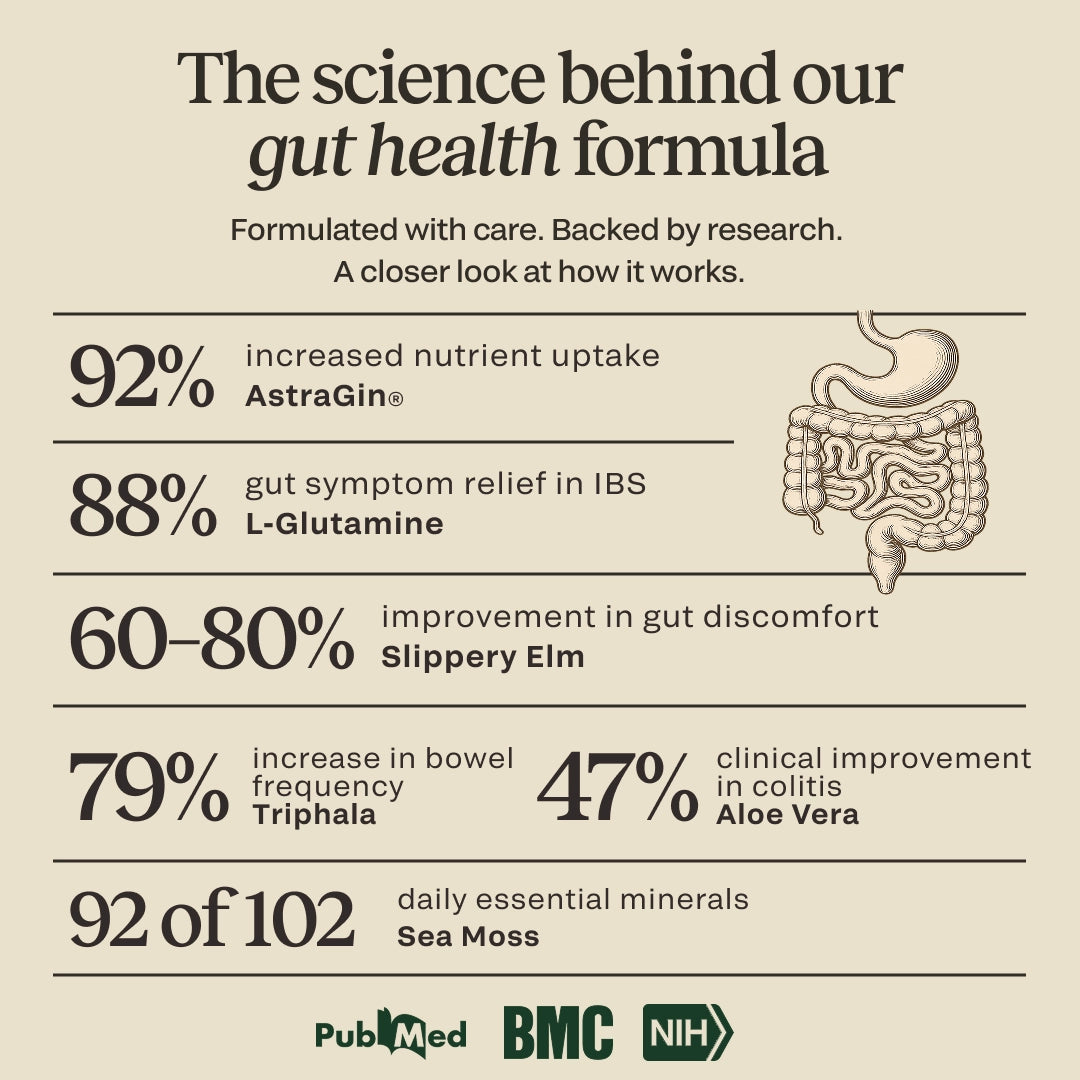 Science graphic for CELTARA Gut Health Formula with ingredient research highlights