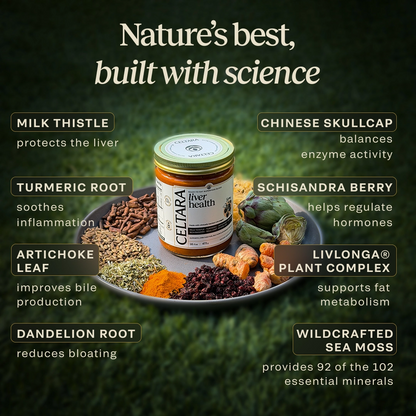 Liver Health Blend ingredients with milk thistle, turmeric, artichoke and schisandra