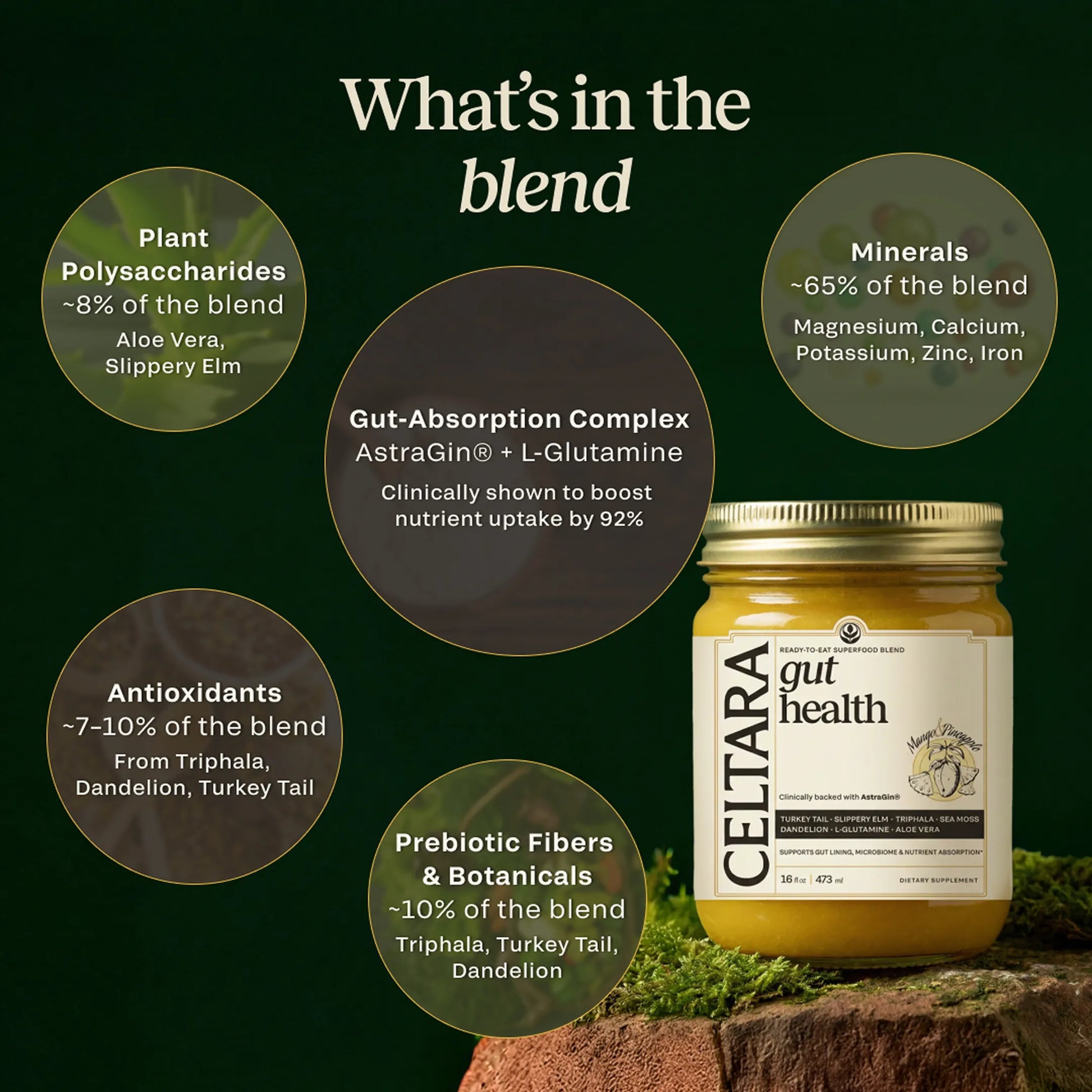 CELTARA Mango & Pineapple Gut Health Blend composition breakdown with minerals and botanicals
