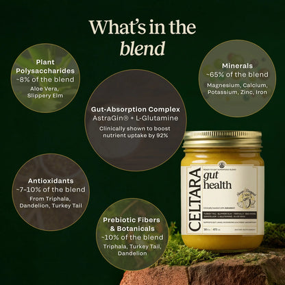 CELTARA Mango & Pineapple Gut Health Blend composition breakdown with minerals and botanicals