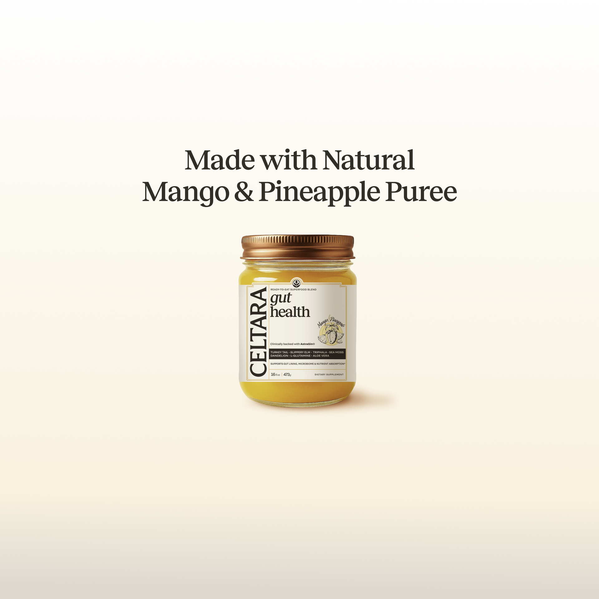 1 Jar