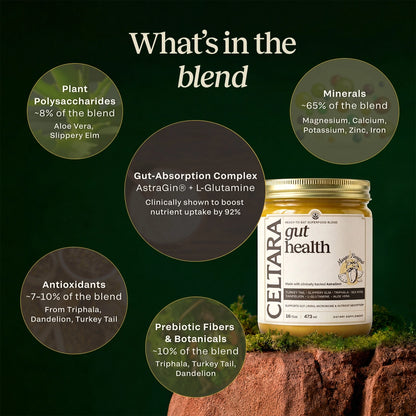 CELTARA Mango & Pineapple Gut Health Blend composition breakdown with minerals and botanicals
