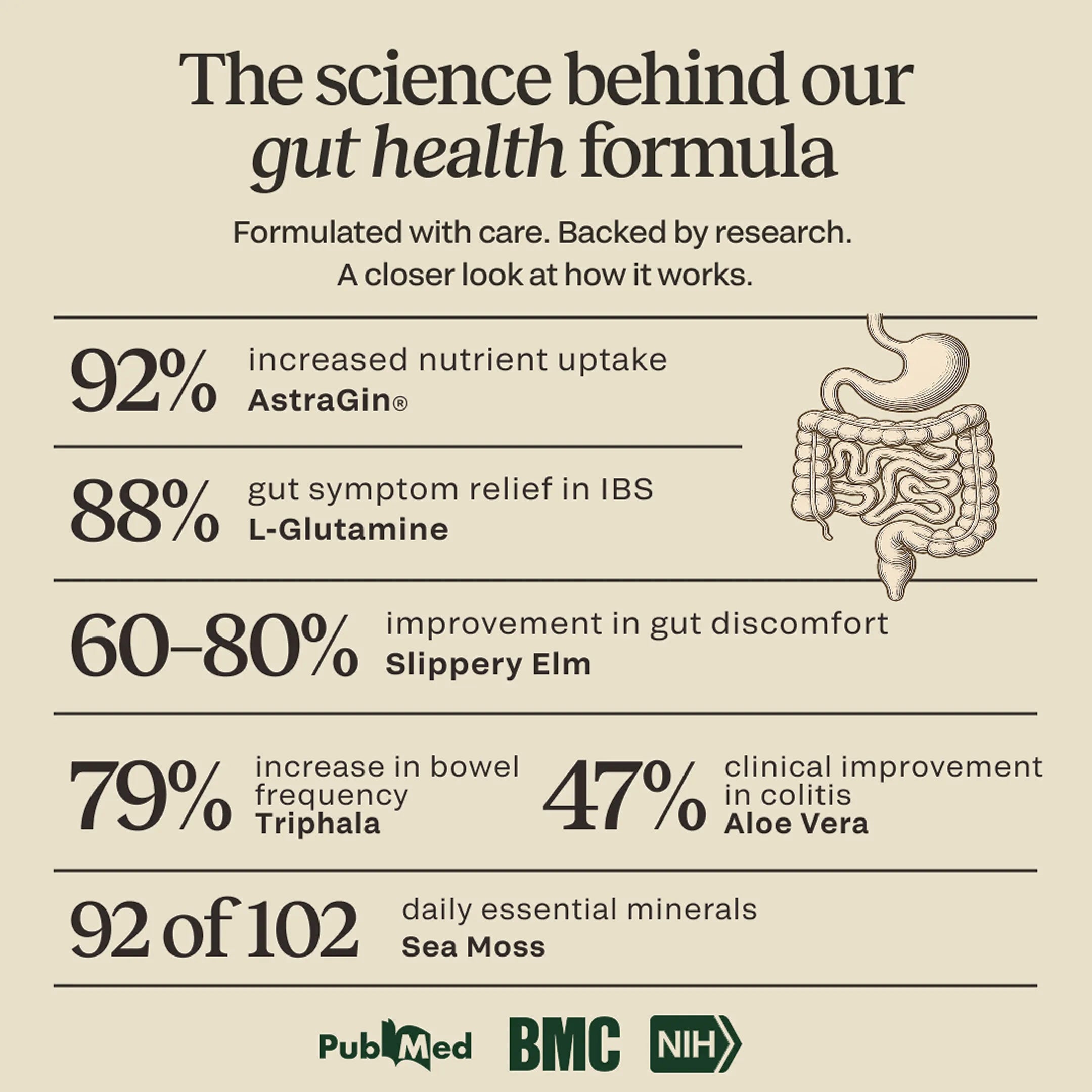 Science graphic for CELTARA Mango & Pineapple Gut Health Formula with ingredient research highlights