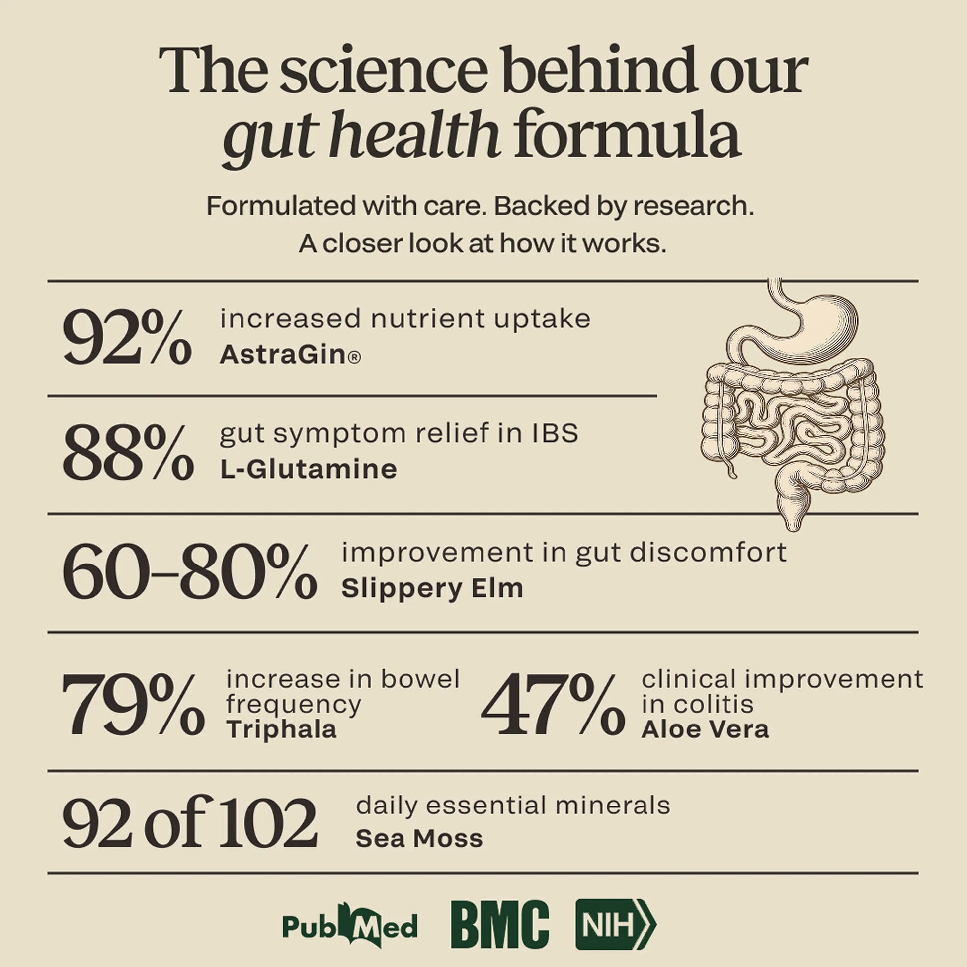 Science graphic for CELTARA Mango & Pineapple Gut Health Formula with ingredient research highlights
